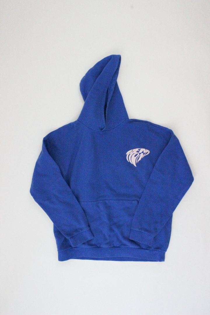 HOODIE, P.E NATION, M